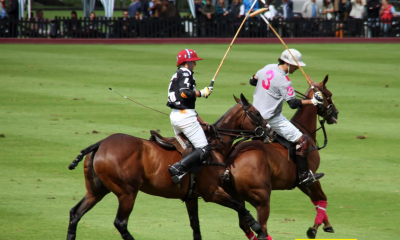 Understand the Fundamentals of Polo Rules for Beginners